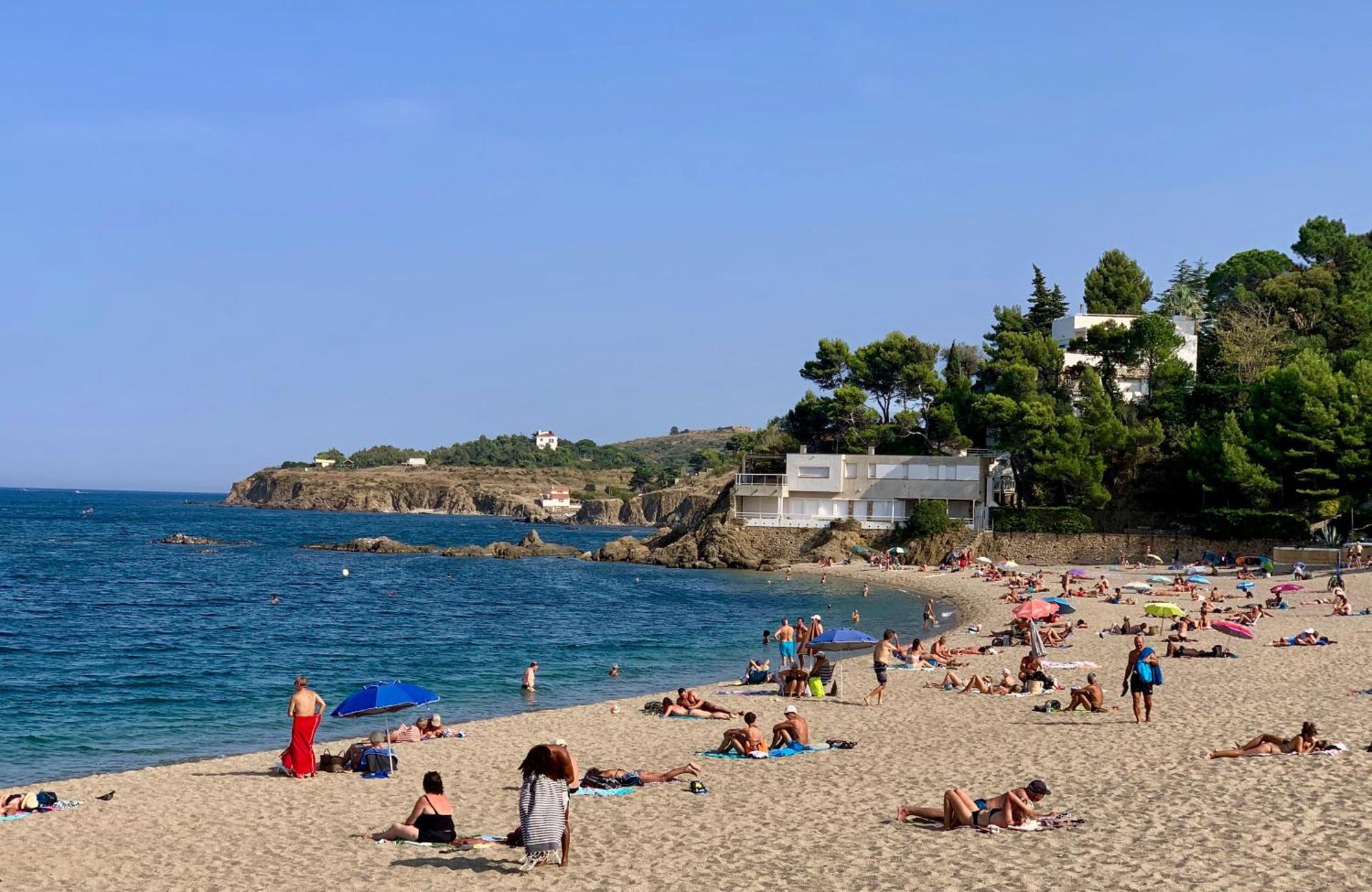 Maison De Flo Centre Historique Argeles Sur Mer ภายนอก รูปภาพ